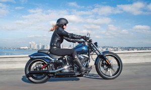 Polk data shows that Harley-Davidson has gained double-digit market share from 2008-12 within important demographic segments.