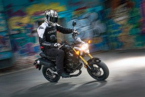 From Generation Y newcomers to Ruckus veterans to motorhome travelers, Honda’s Grom figures to have a breadth of users.