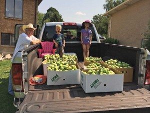 Hal Ethington will get to spend more time picking pears with his grandkids now that his column authoring days are over.
