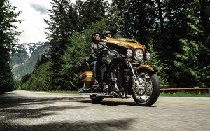 Harley-Davidson dealers lead the industry in collecting customer information.  