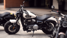 Chinchilla 300 cruiser