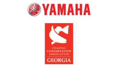 Yamaha and CCA