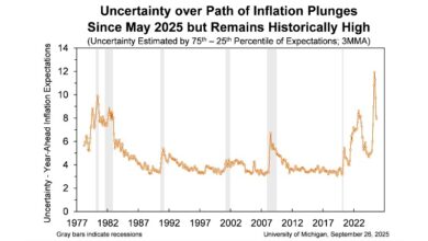 University of Michigan consumer index