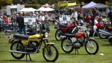 The Quail goes biennial