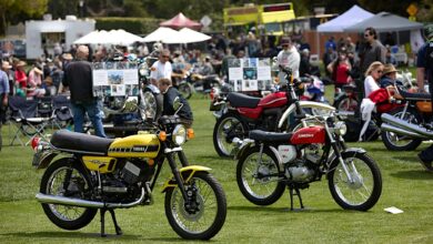 The Quail goes biennial