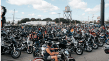 Bert's BikeFest returns in November