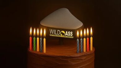 Wild Ass celebrates 10th anniversary
