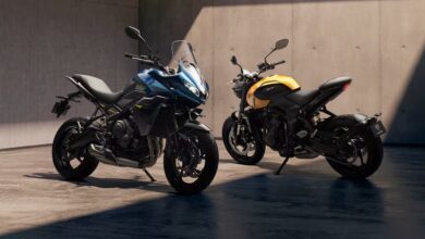 Triumph updates 660 range