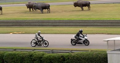 Norton makes appearance at Barbara Vintage